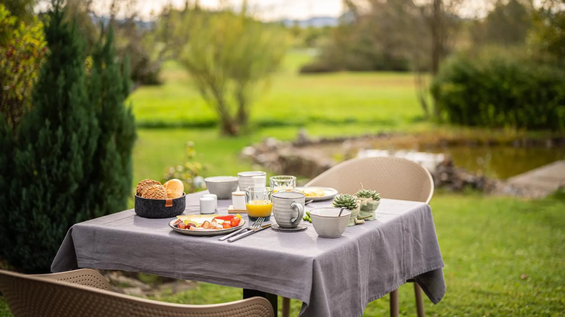 Wellnesshotel Birkenmoor Garni Scheidegg