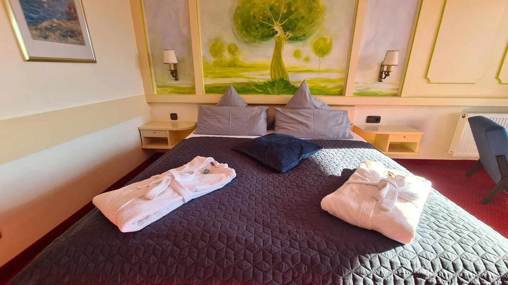 Wellnesshotel Birkenmoor Garni Scheidegg