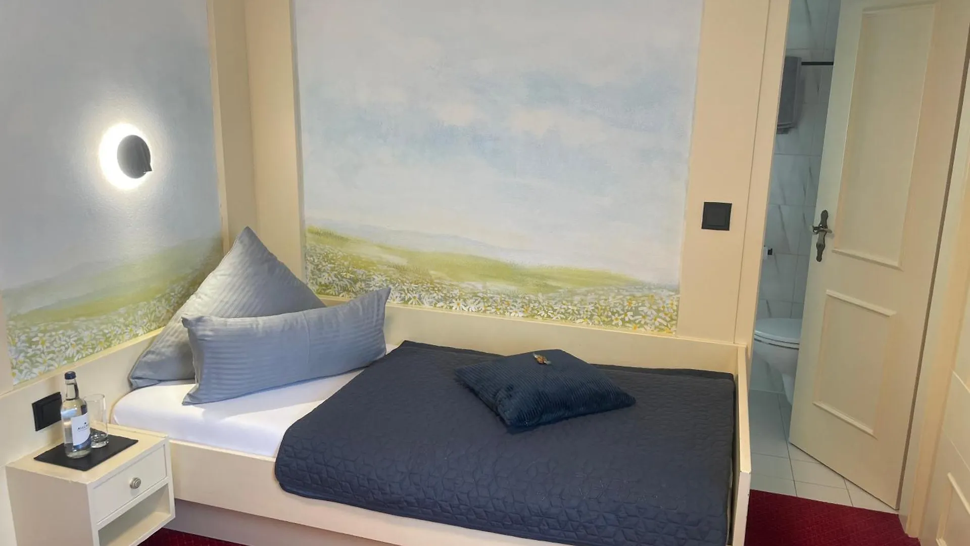 Wellnesshotel Birkenmoor Garni Scheidegg 3*,  Deutschland