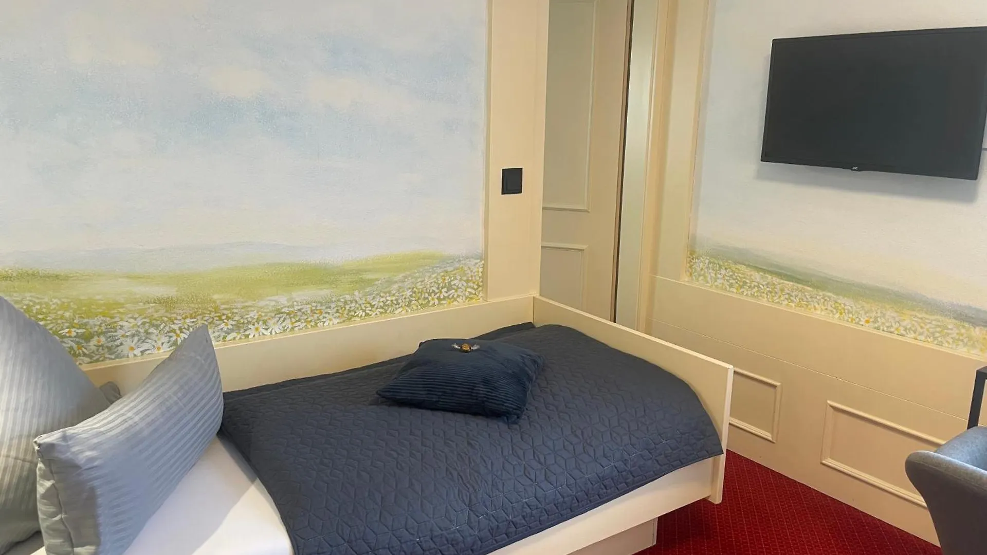 Wellnesshotel Birkenmoor Garni Scheidegg 3*,  Deutschland
