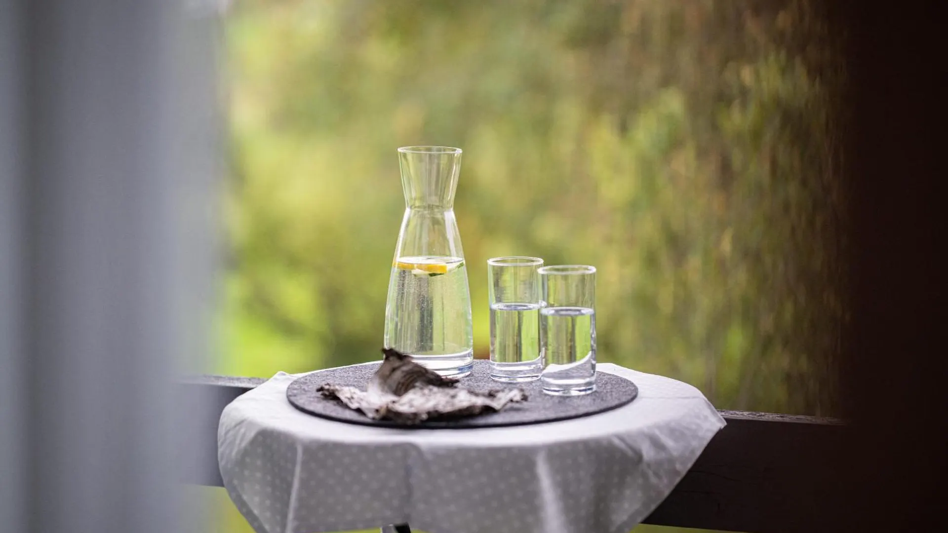 Hotel Birkenmoor Garni Scheidegg